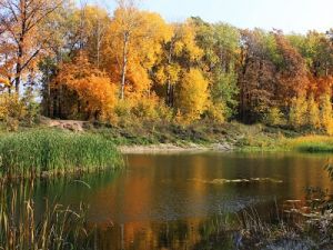 осенний водоем