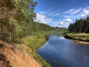 какая рыба водится в реке медведица в тверской области. Смотреть фото какая рыба водится в реке медведица в тверской области. Смотреть картинку какая рыба водится в реке медведица в тверской области. Картинка про какая рыба водится в реке медведица в тверской области. Фото какая рыба водится в реке медведица в тверской области