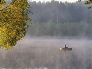 На осеннем водоеме