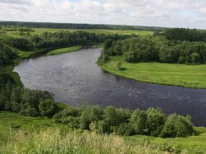 какая рыба водится в реке мста новгородская область. Смотреть фото какая рыба водится в реке мста новгородская область. Смотреть картинку какая рыба водится в реке мста новгородская область. Картинка про какая рыба водится в реке мста новгородская область. Фото какая рыба водится в реке мста новгородская область