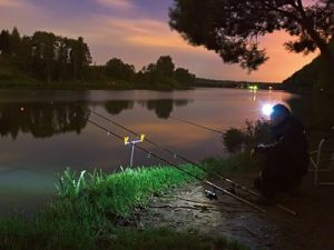 Ночная рыбалка