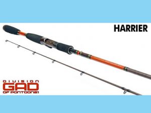 pontoon 21 gad harrier