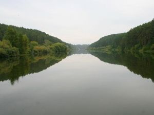 река пышма какая рыба водится. Смотреть фото река пышма какая рыба водится. Смотреть картинку река пышма какая рыба водится. Картинка про река пышма какая рыба водится. Фото река пышма какая рыба водится