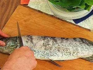 чистка щуки на котлеты