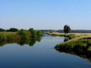 какая рыба водится в пьяне. Смотреть фото какая рыба водится в пьяне. Смотреть картинку какая рыба водится в пьяне. Картинка про какая рыба водится в пьяне. Фото какая рыба водится в пьяне