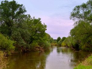 рыбалка в мутной воде весной