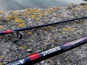 Shimano Catana