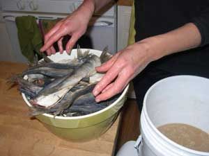 засол рыбы для сушки