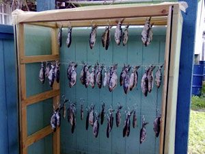 Сушилка для рыбы: типы, тонкости выбора и мастер-класс по изготовлению