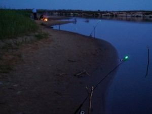 Удочки со светлячками ночью