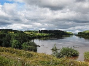 какая рыба водится в реке тура свердловской области. Смотреть фото какая рыба водится в реке тура свердловской области. Смотреть картинку какая рыба водится в реке тура свердловской области. Картинка про какая рыба водится в реке тура свердловской области. Фото какая рыба водится в реке тура свердловской области