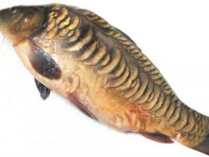 Консервы из рыбы: ТОП-7 рецептов, пошаговое приготовление